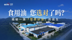 央视网走进晟麦工厂:揭秘从一滴好油到“营养用油生活”的解决方案