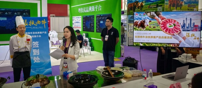 张掖养好牛，湾区启“味”来｜借力“粤牧优品”通全球肉牛产业交易会，拓宽入湾新路径